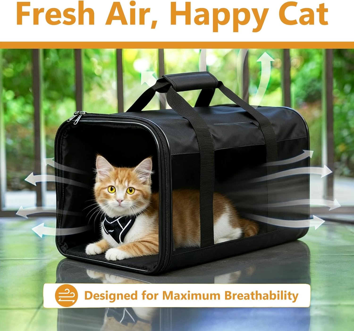 Soft-Sided Pet Travel Carrier for Cats & Small Dogs Collapsible & Durable · 17" x 12" x 12" · Up to 17 lbs · Black