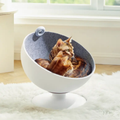 Rotating Pod-Style Cat Bed