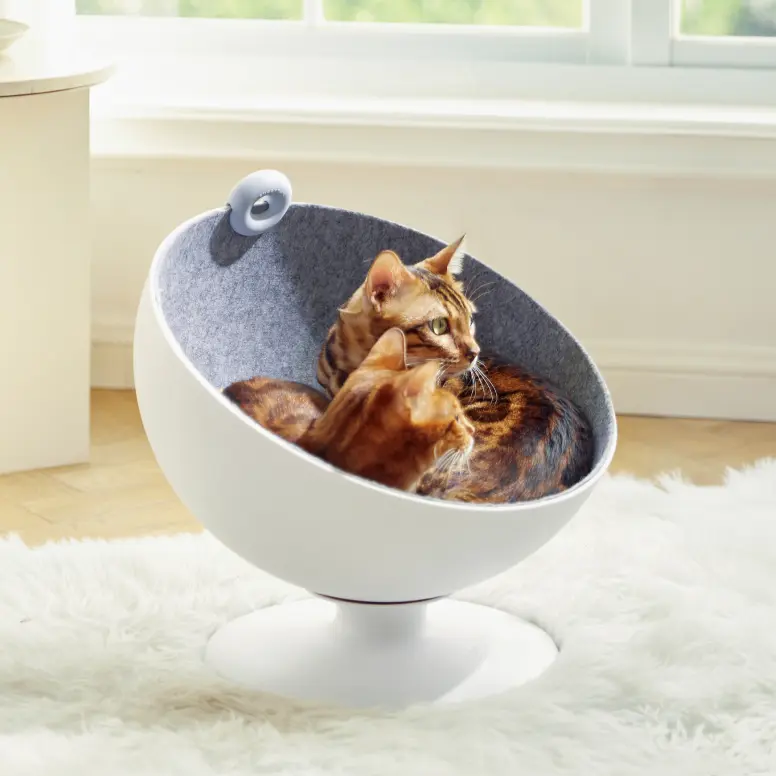 Rotating Pod-Style Cat Bed