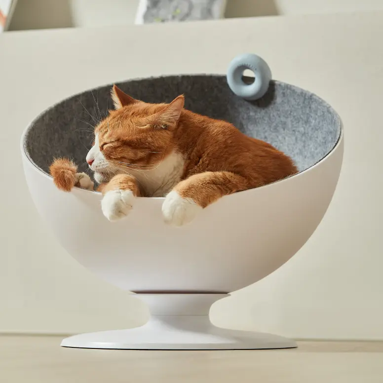 Rotating Pod-Style Cat Bed